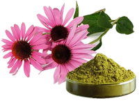 Echinacea Purpurea Extract (500mg)