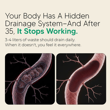 New Maximum Potency Formula - Lymphatic Drainage Capsules